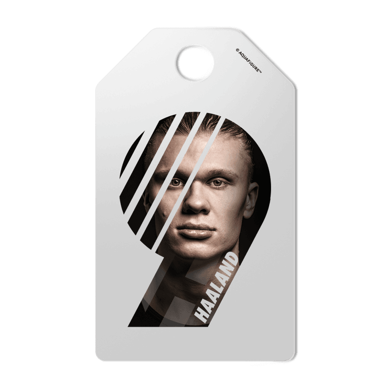 Erling Haaland     Aquafigure Flaske inkludert 4 Haaland Tags   